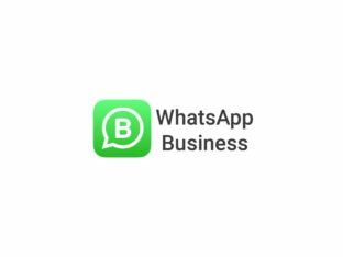 Logo WhatsApp Business: Como colocar mensagem automática no WhatsApp